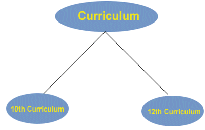 Curriculum